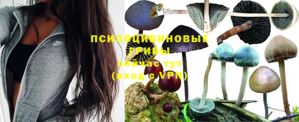 круглые Краснослободск