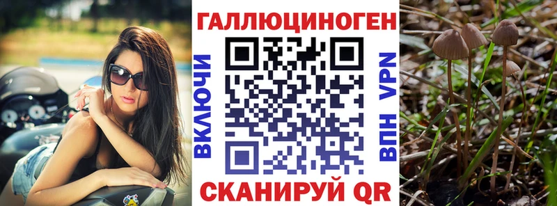 Купить где  Мелеуз  Галлюциногенные грибы прущие грибы 